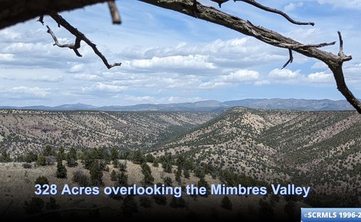 Land in Mimbres, New Mexico, United States 1