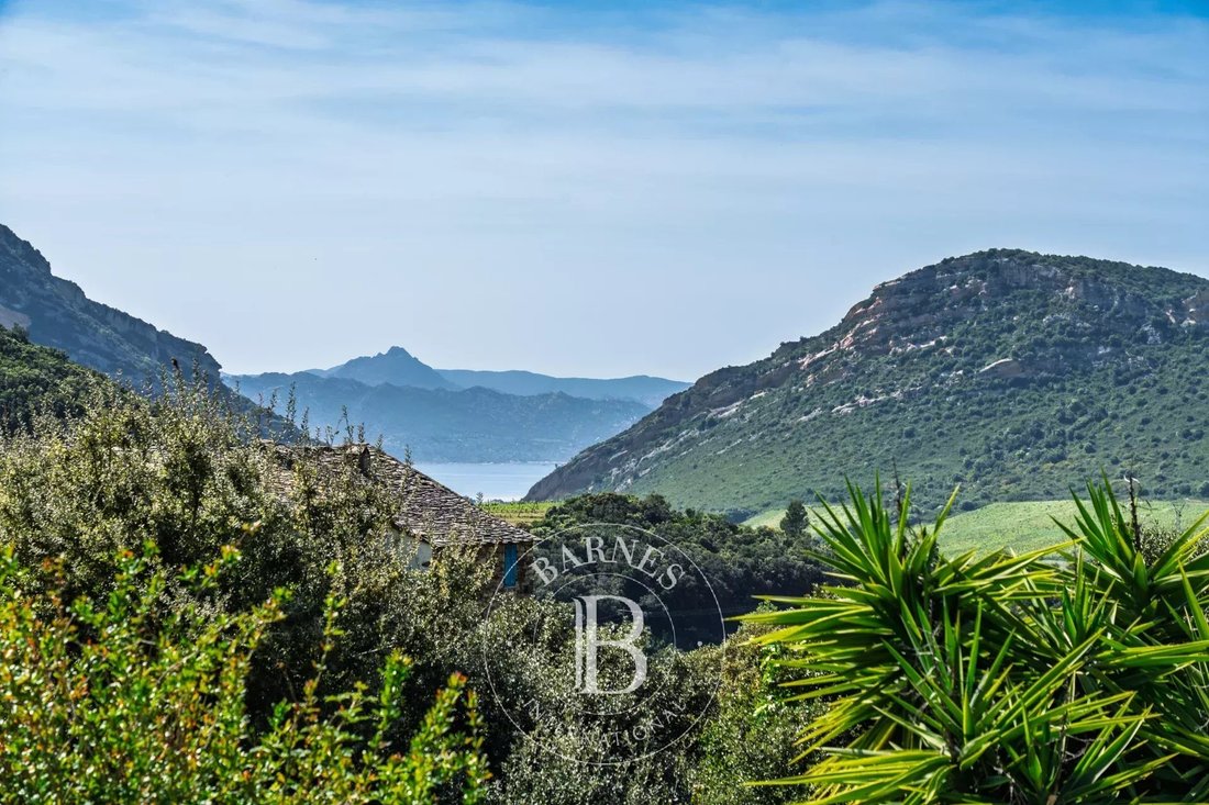 Villa in Patrimonio, Corsica, France 1 - 17772386