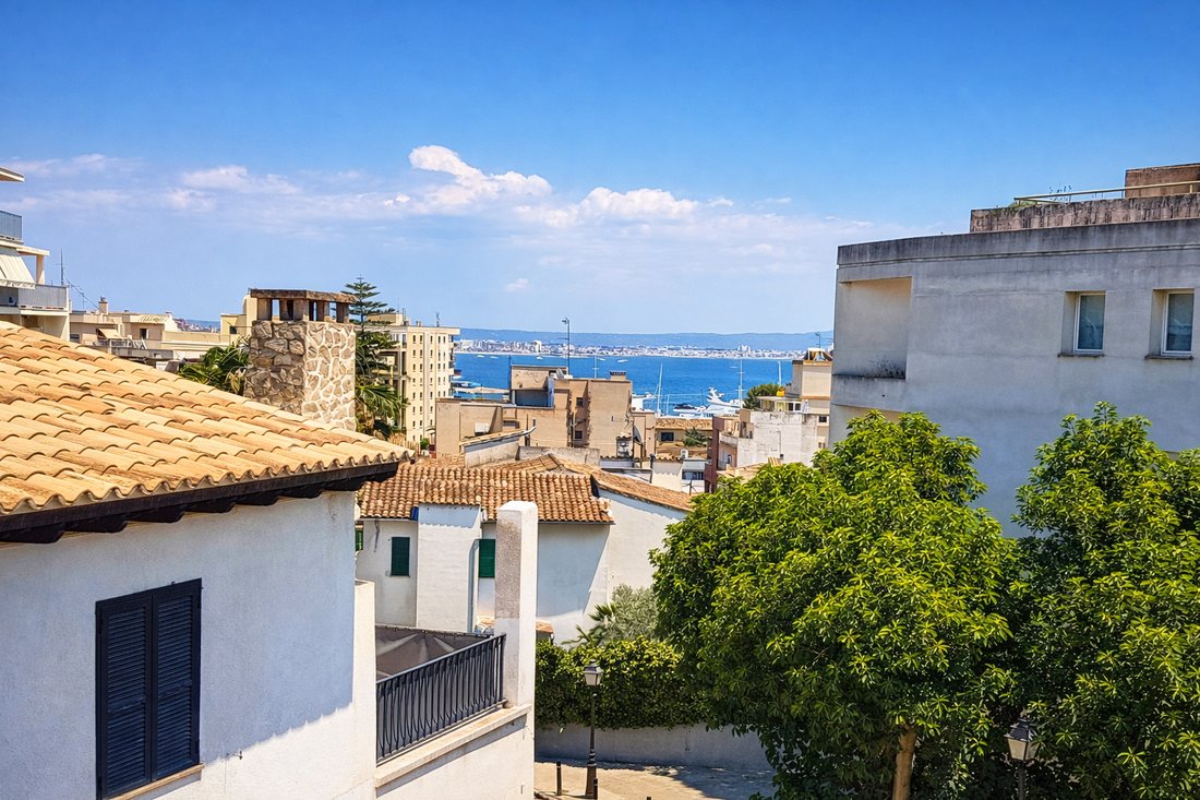 Villa in Palma, Balearic Islands, Spain 3 - 17774038