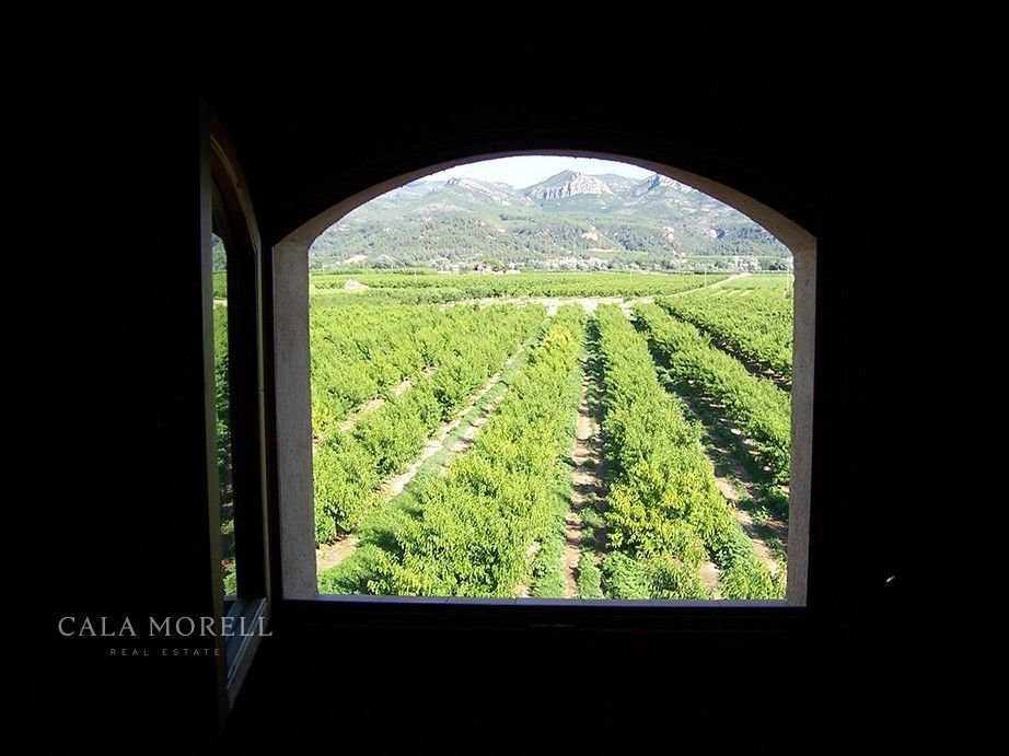 Country House in Benissanet, Catalonia, Spain 3 - 17773237