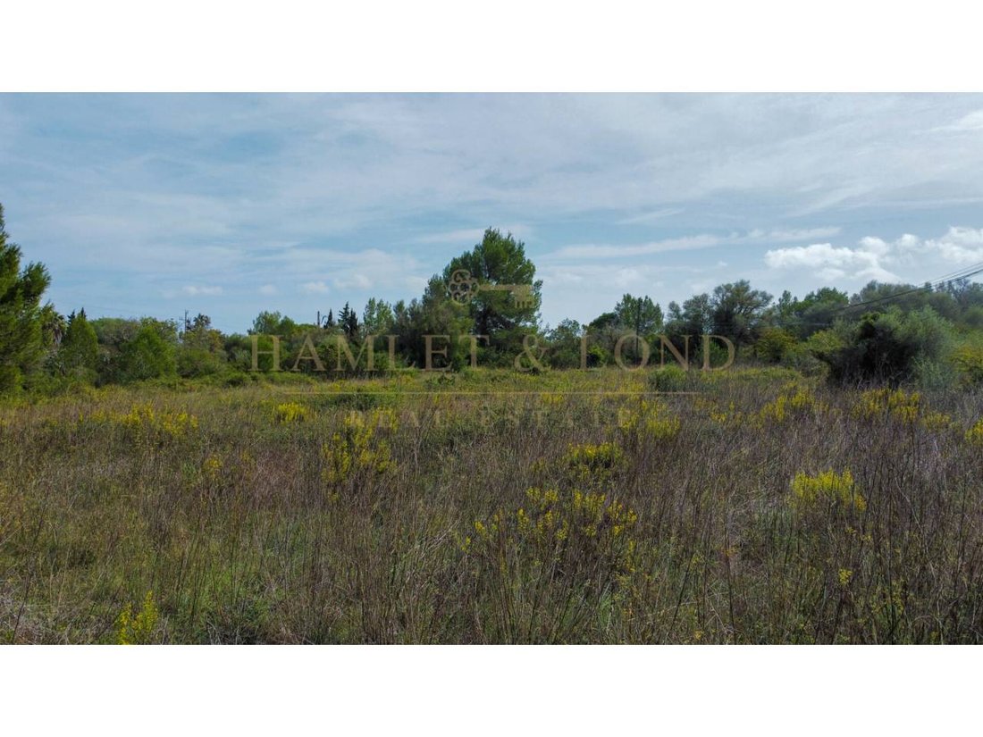 Terrain à Pollença, Îles Baléares, Espagne 3 - 17773453