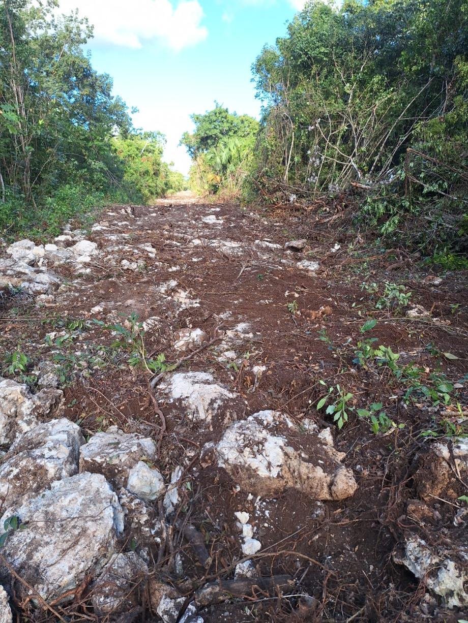 Land in Leona Vicario, Quintana Roo, Mexico 2 - 17772874