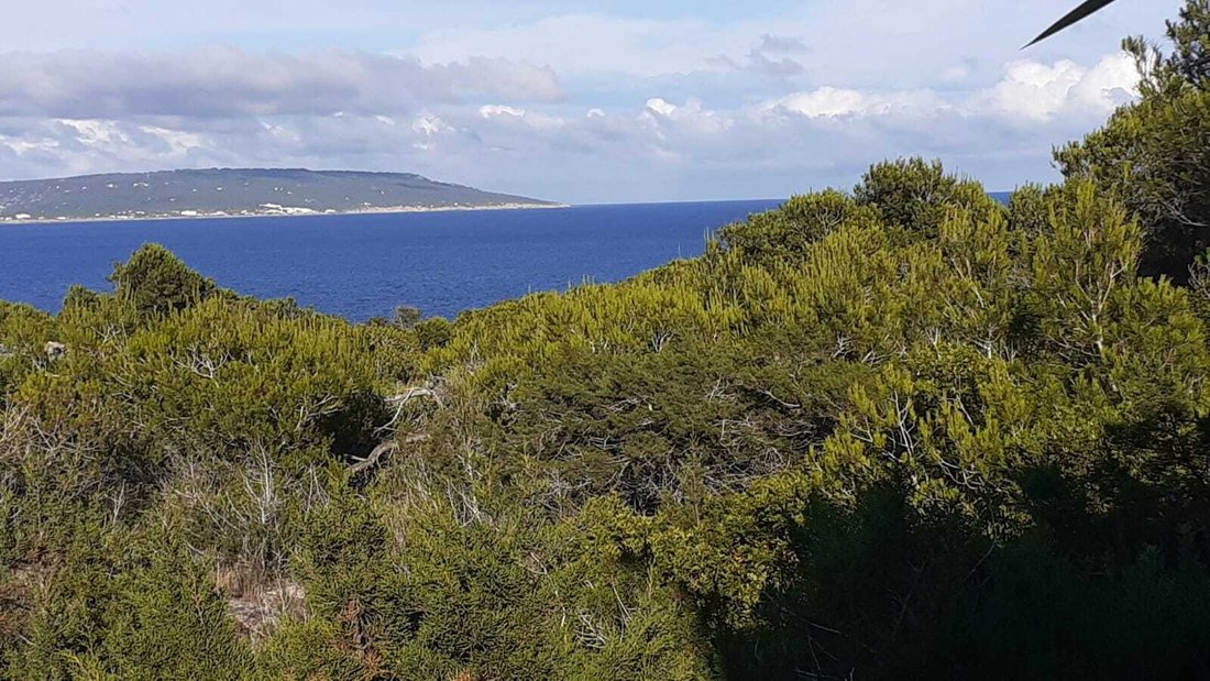 House in Formentera, Balearic Islands, Spain 4 - 17773386