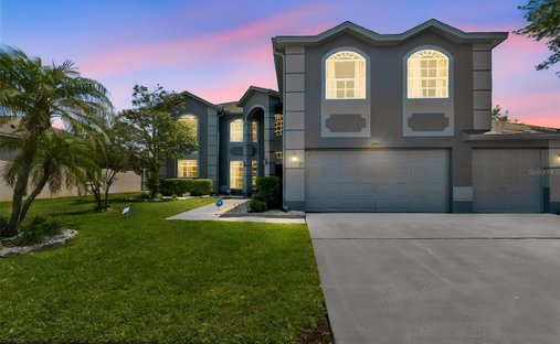 House in Odessa, Florida, United States 1