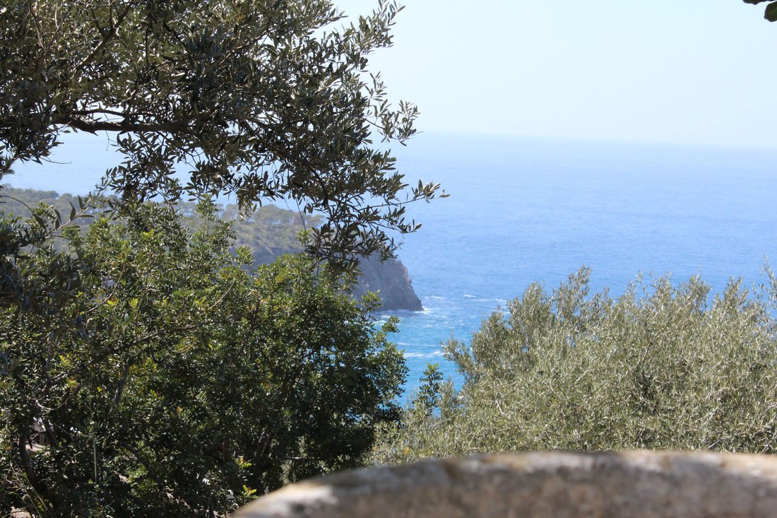Villa in Deià, Balearische Inseln, Spanien 1 - 17773703