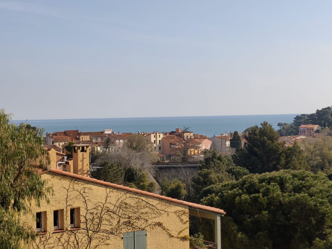 Apartment in Collioure, Occitania, France 1 - 17776347