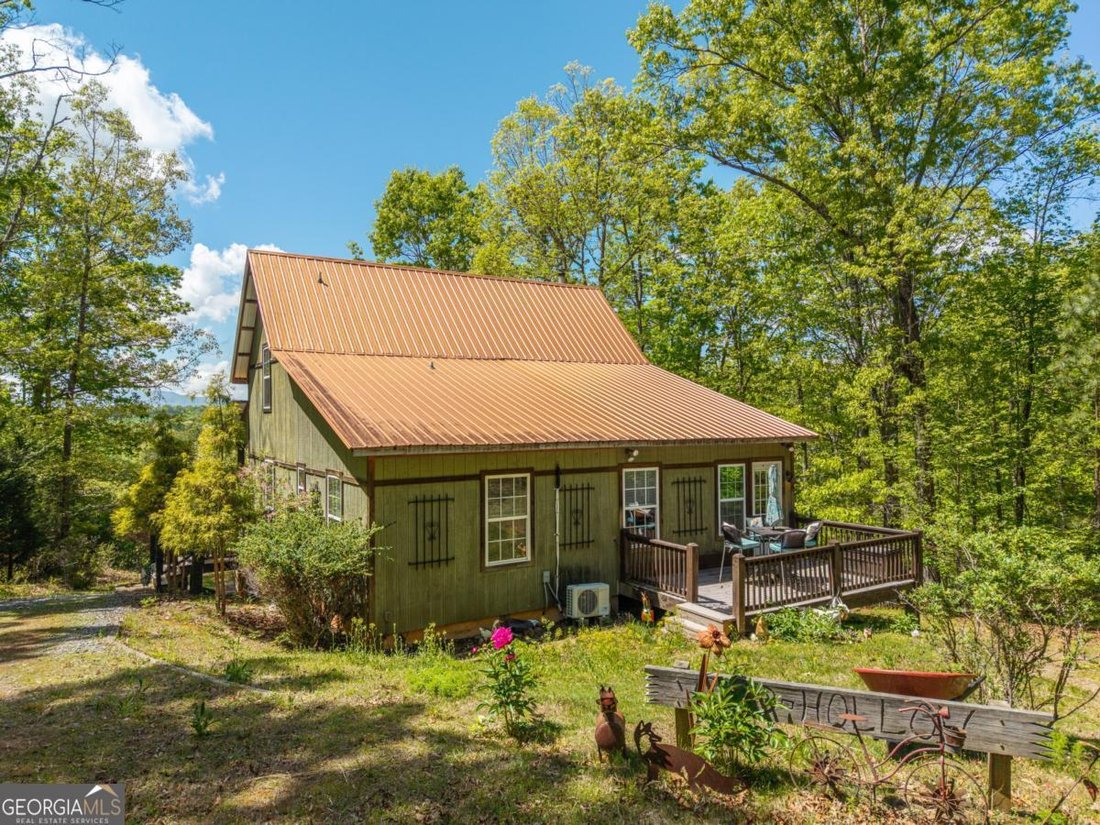House in Mineral Bluff, Georgia, United States 3 - 17771587