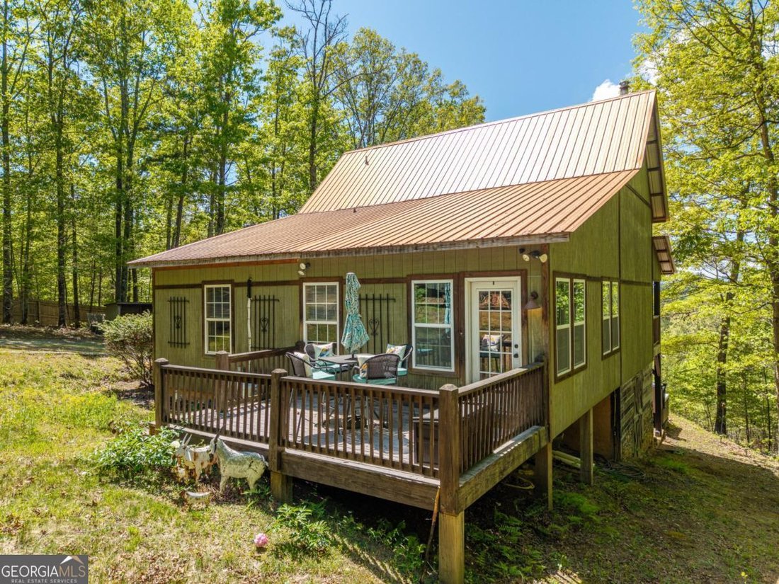 House in Mineral Bluff, Georgia, United States 4 - 17771587