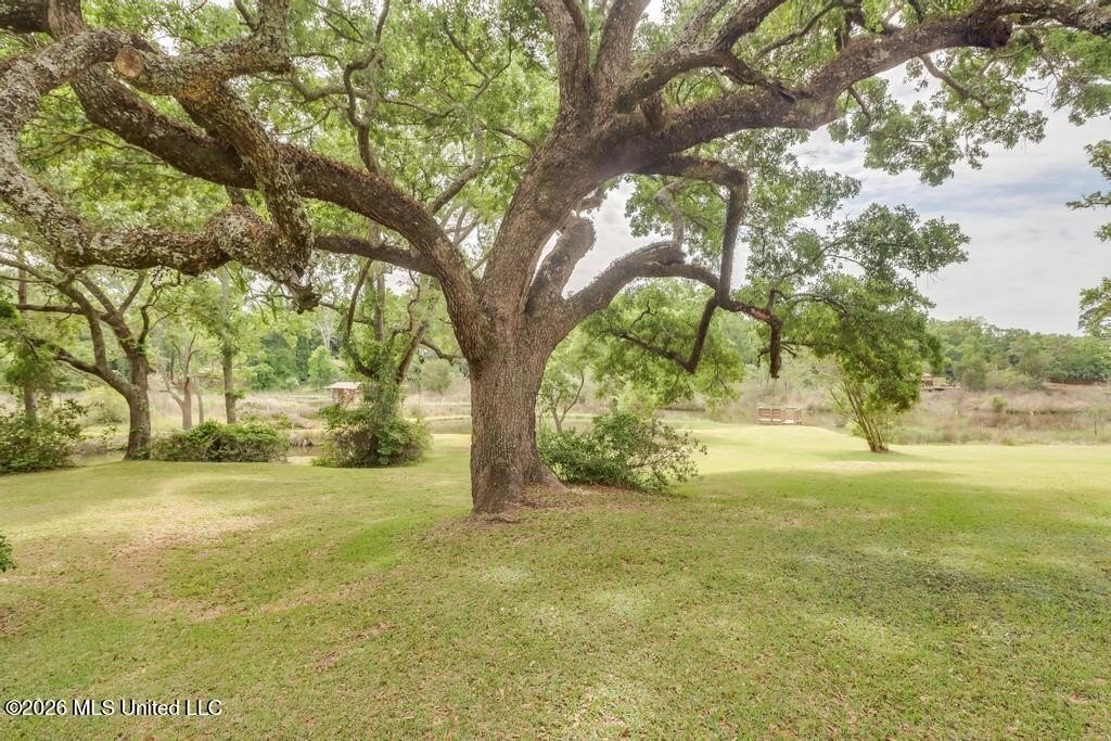 House in Biloxi, Mississippi, United States 2 - 17772768