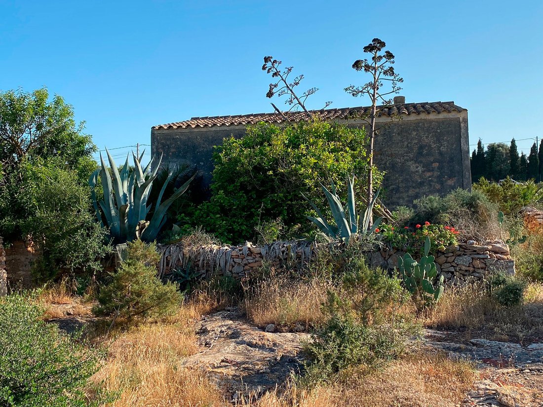 Country House in Formentera, Balearic Islands, Spain 3 - 17773124
