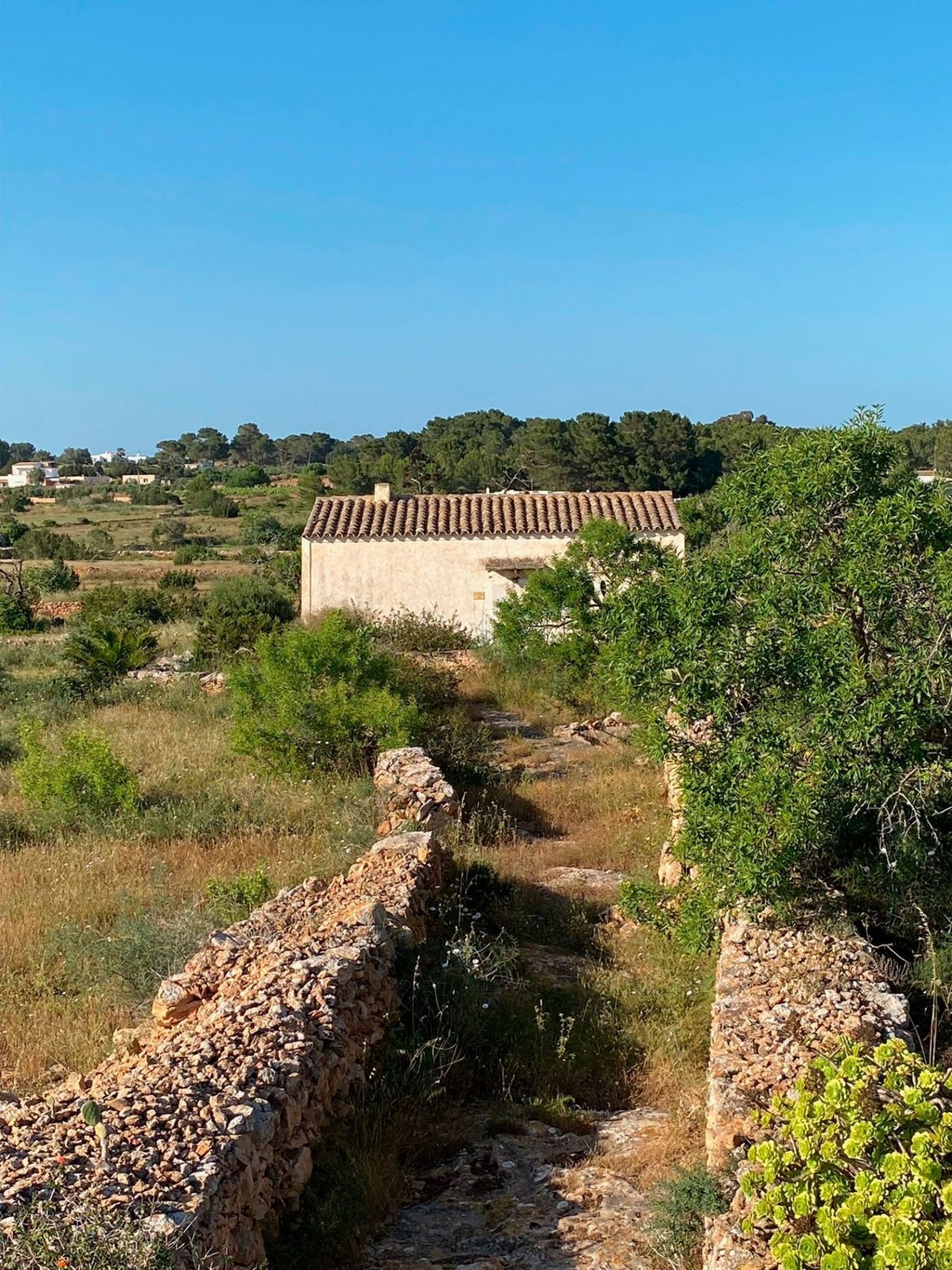 Country House in Formentera, Balearic Islands, Spain 5 - 17773124