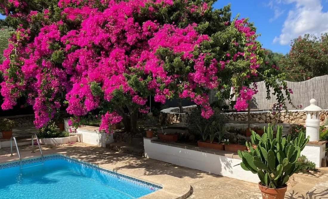 Villa in Maó / Mahón, Balearic Islands, Spain 5 - 17774866