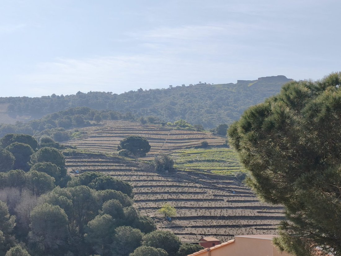 Villa in Collioure, Occitania, France 3 - 17776321