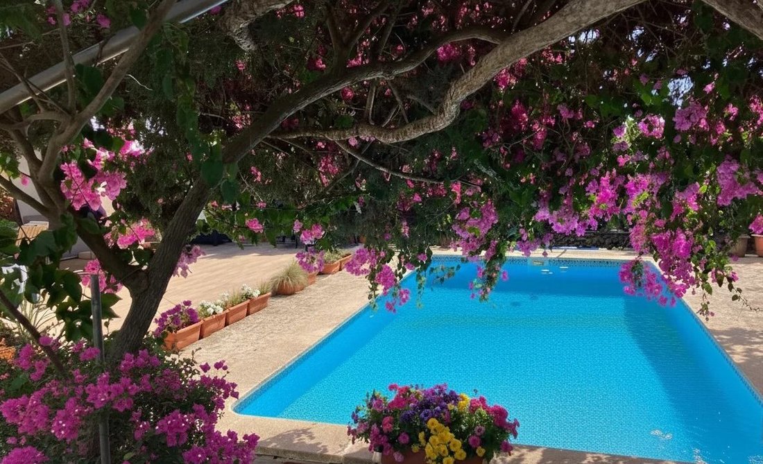 Villa in Maó / Mahón, Balearic Islands, Spain 2 - 17774866