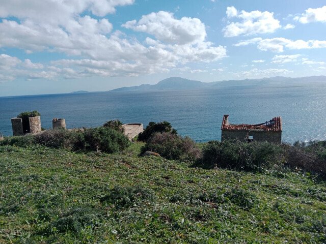Land in Tarifa, Andalusia, Spain 3 - 16206177