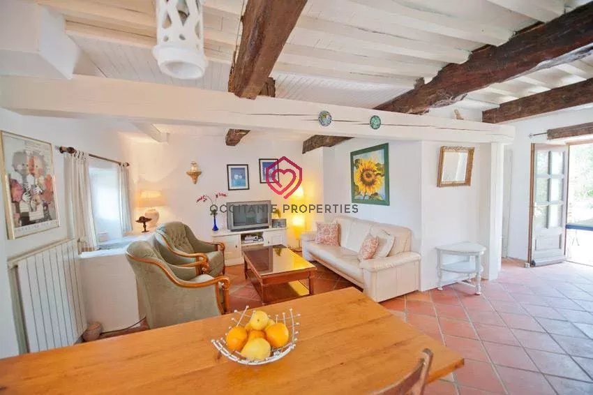 Estate in Alairac, Occitania, France 4 - 17352963