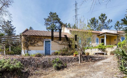 Land in Aveiras de Baixo, Lisbon, Portugal 1