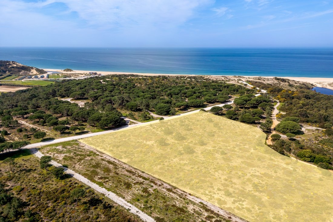 Land in Santiago, Setubal, Portugal 4 - 17777524