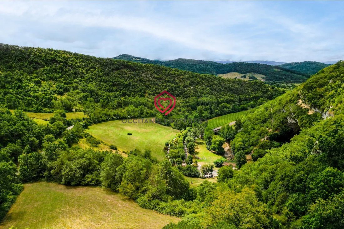 Estate in Le Mas-d'Azil, Occitania, France 2 - 17352975