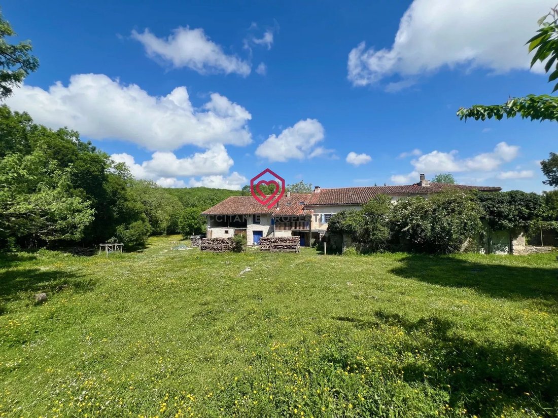 Farm Ranch in Le Mas-d'Azil, Occitania, France 1 - 17352999