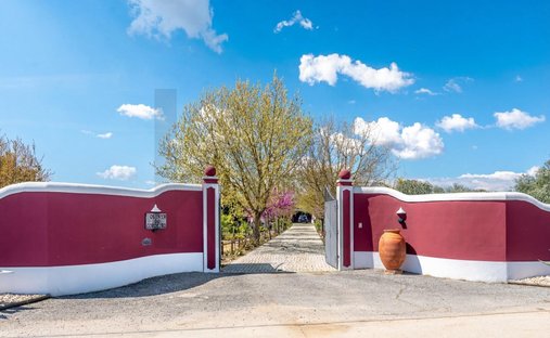 Azienda agricola a Corval, Distretto di Évora, Portogallo 1