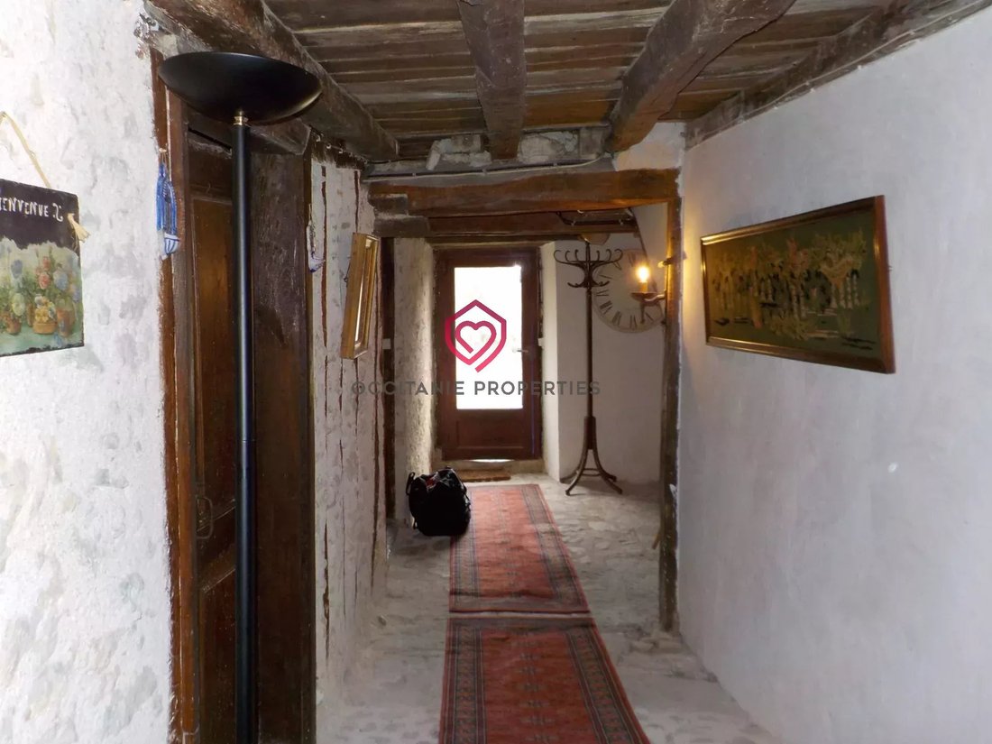 Farm Ranch in Le Mas-d'Azil, Occitania, France 4 - 17352999
