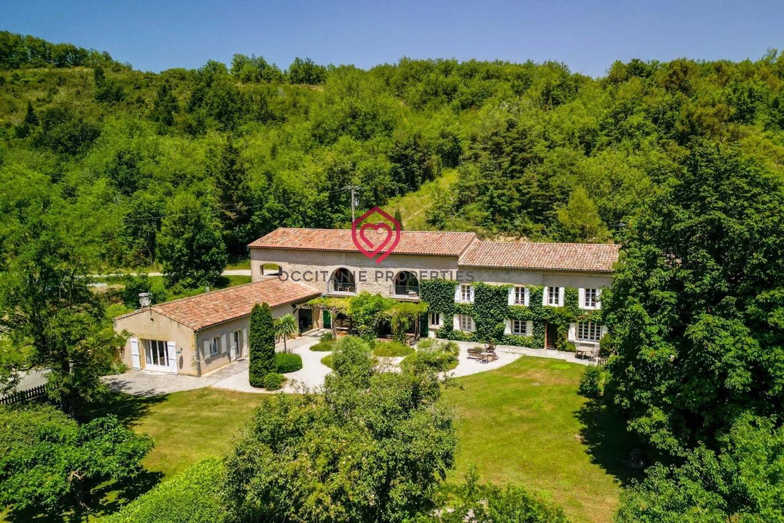 Estate in Mirepoix, Occitania, France 1 - 17429106