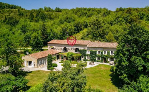 Estate in Mirepoix, Occitania, France 1