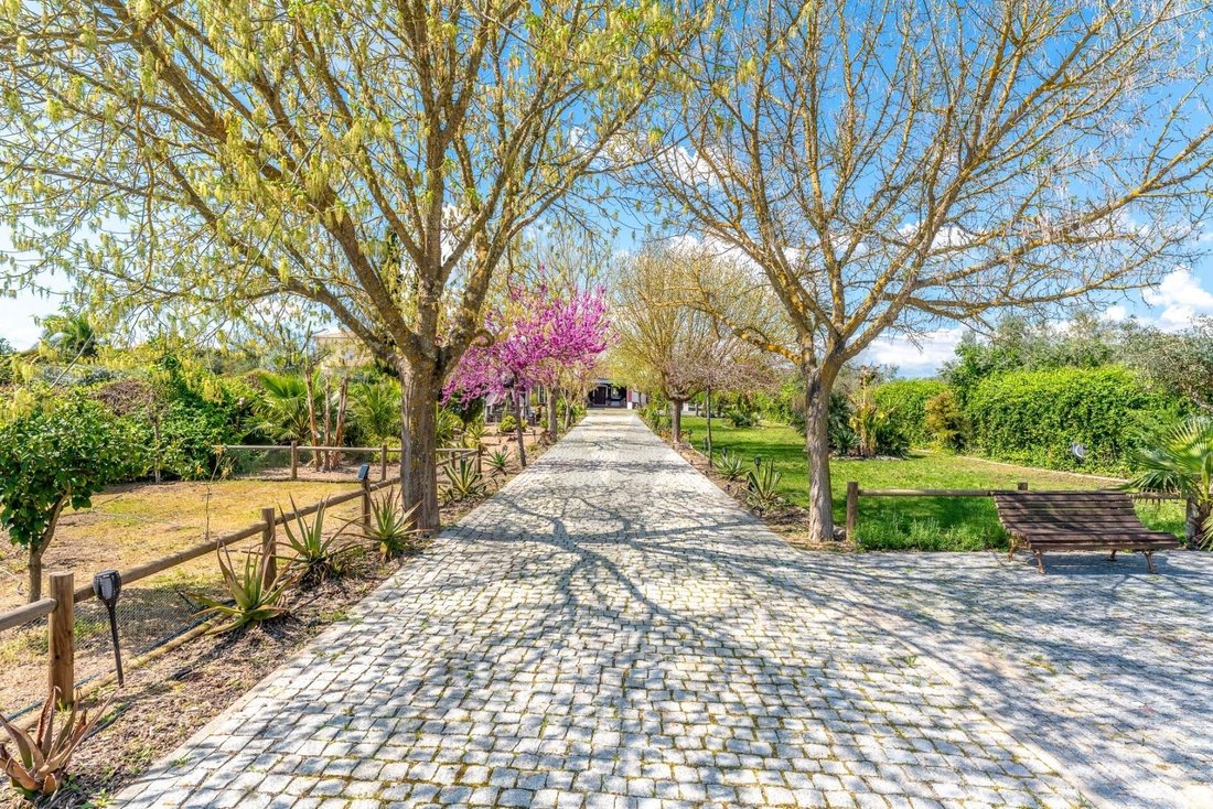 Farm Ranch in Corval, Évora District, Portugal 4 - 17777485