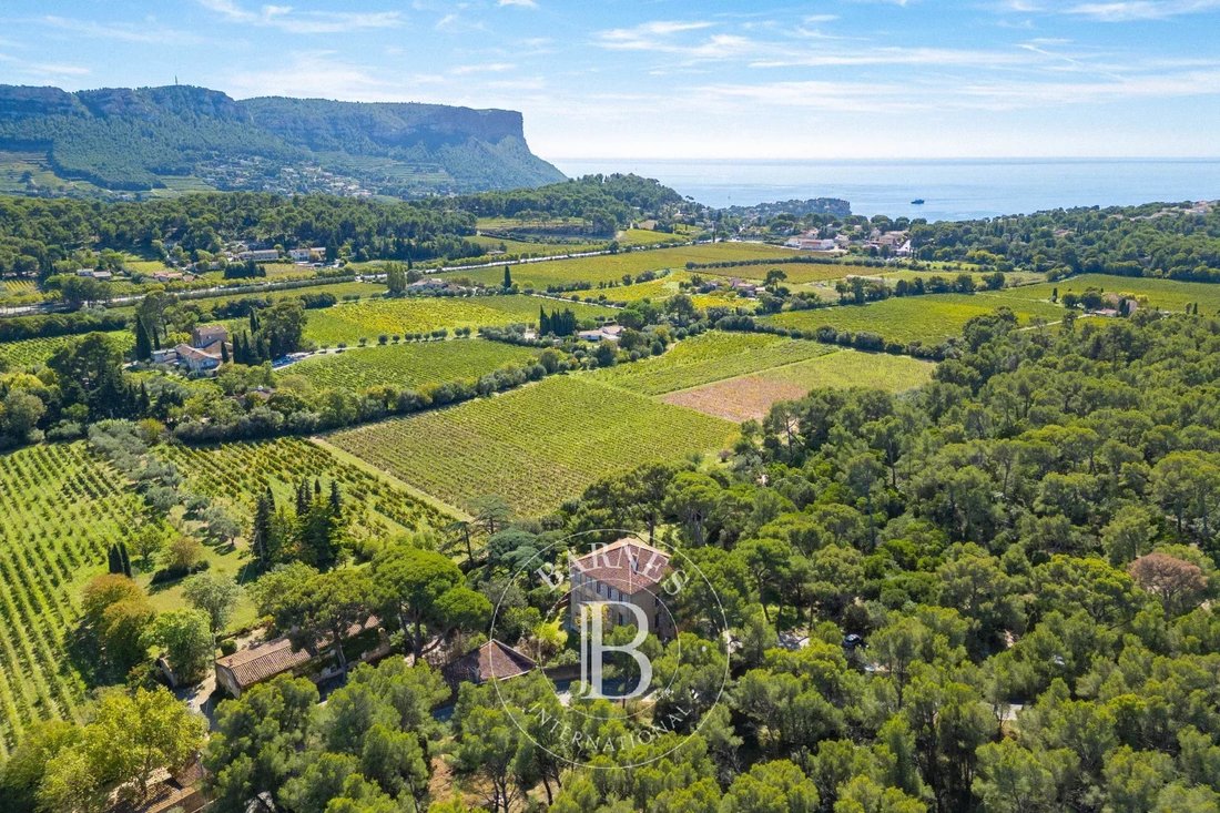 Estate in Peripherie, Cassis, France 2 - 16386625