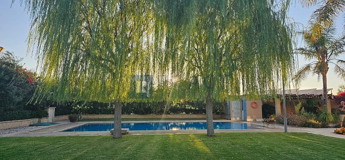 House in Ayioi Trimithias, Nicosia, Cyprus 5 - 17778118