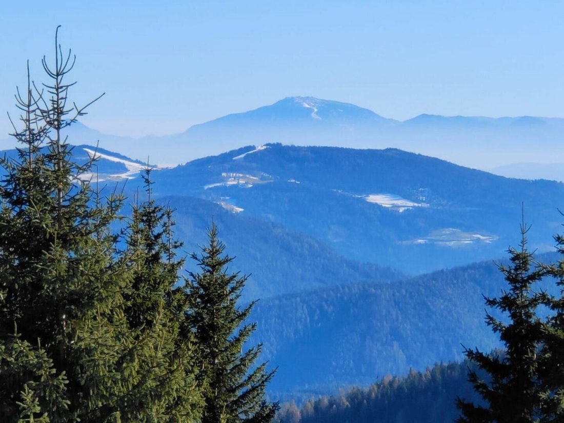 Apartment in Sirnitz, Carinthia, Austria 3 - 17031536