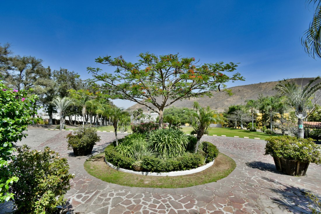 Terreno a San Agustin, Jalisco, Messico 2 - 17777804
