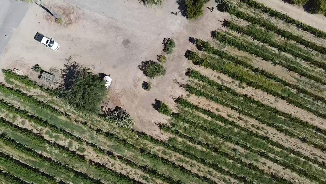 Farm Ranch in Clovis, California, United States 5 - 17483832