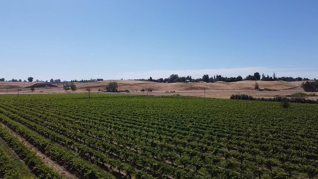 Farm Ranch in Clovis, California, United States 1 - 17483832