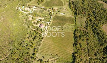 Villa à Giovi-Puglia-Catona, Arezzo, Toscane 1