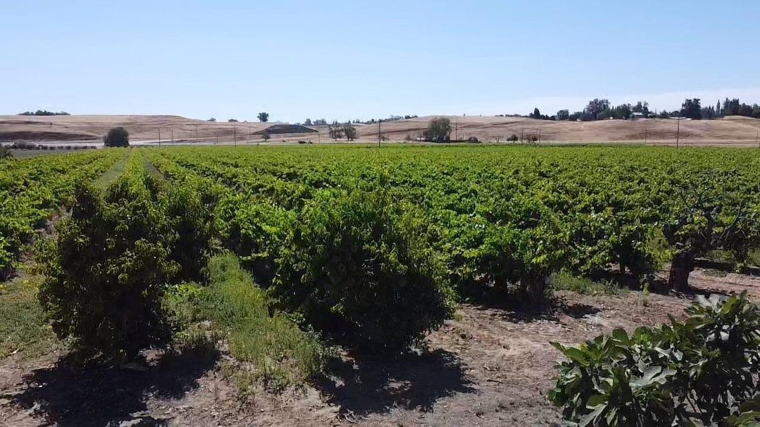 Farm Ranch in Clovis, California, United States 4 - 17483832