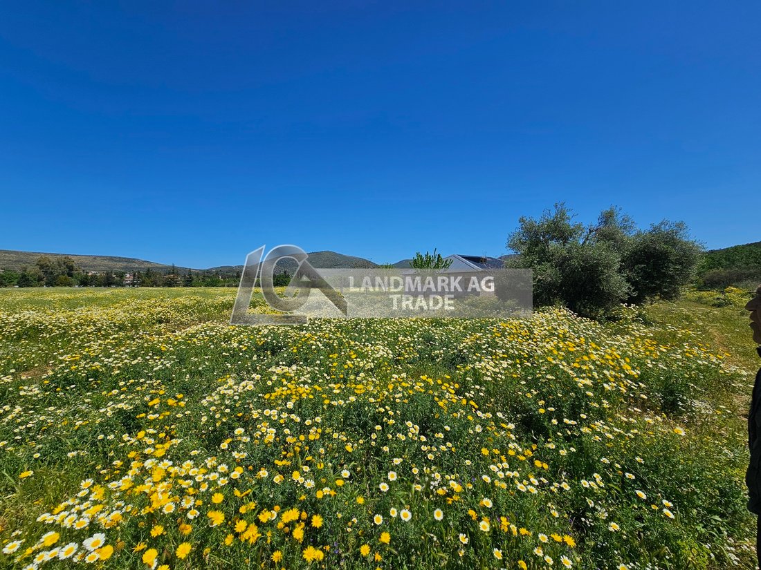 Land in Marathonas, Attica, Greece 5 - 17778827