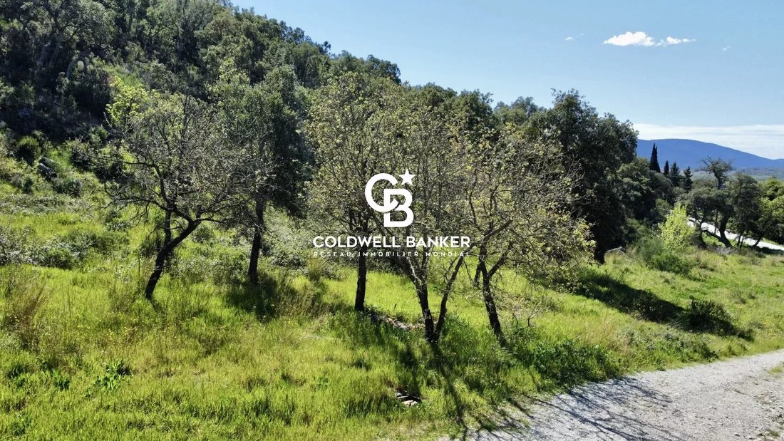 Land in Grimaud, Provence-Alpes-Côte d'Azur, France 1 - 17780125