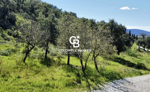 Land in Grimaud, Provence-Alpes-Côte d'Azur, France 1