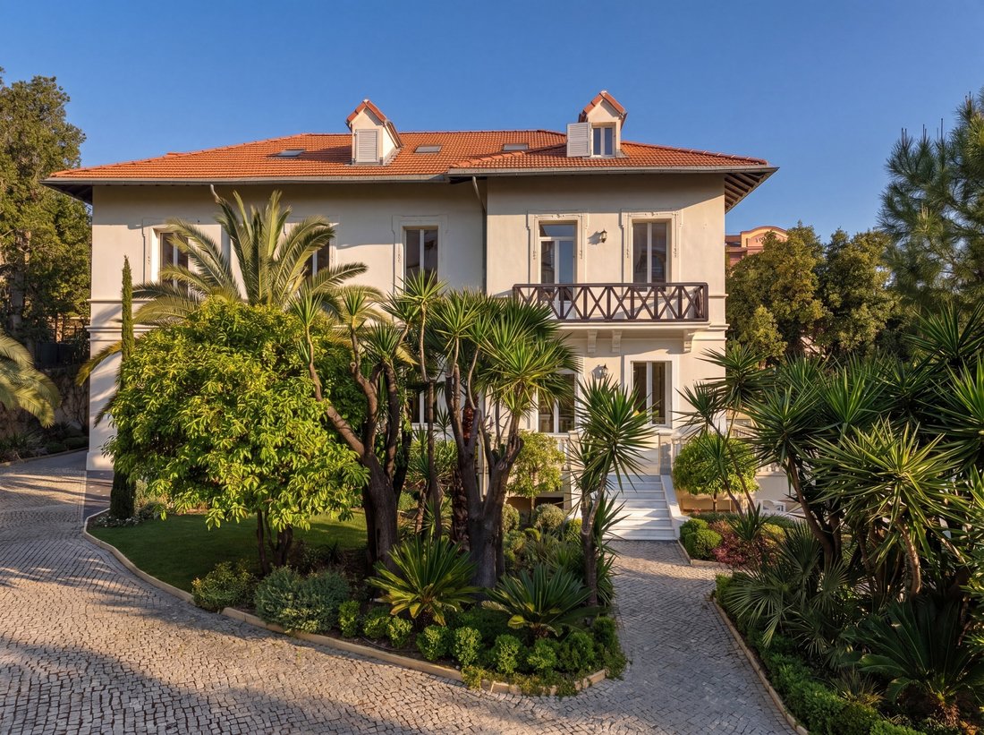 Maison à Saint Nicolas, Cannes, France 3 - 15985649