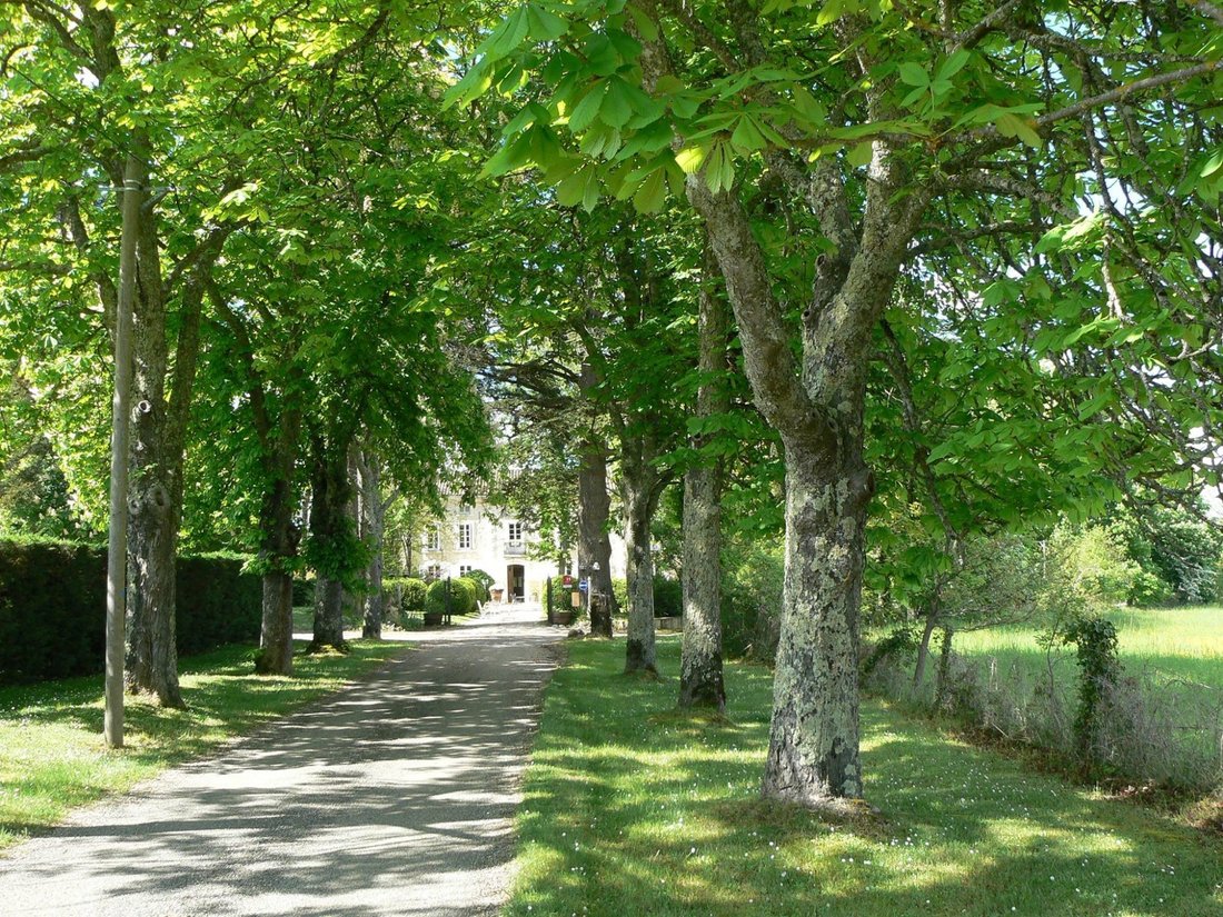 Chateau in École Paul Bert-Lycée Bernard Palissy, Agen, France 4 - 17783528