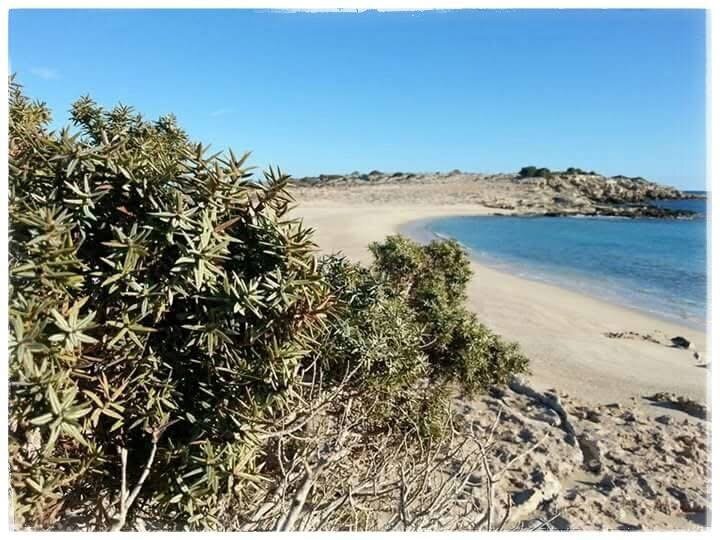 Land in Karpathos, Aegean, Greece 5 - 14150948