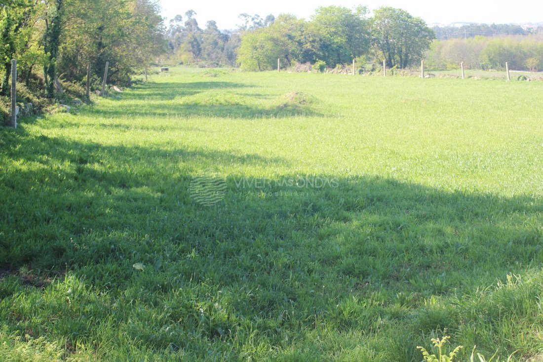 Land in Nogueira e Silva Escura, Porto District, Portugal 5 - 17782782