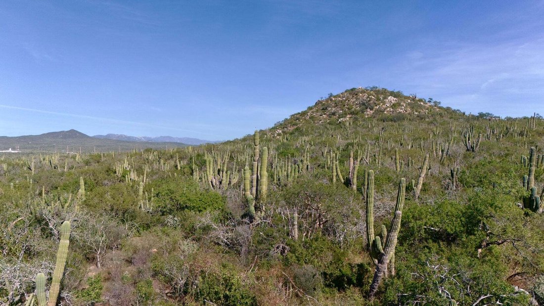Land in Colonia del Sol, Baja California Sur, Mexico 3 - 17783504