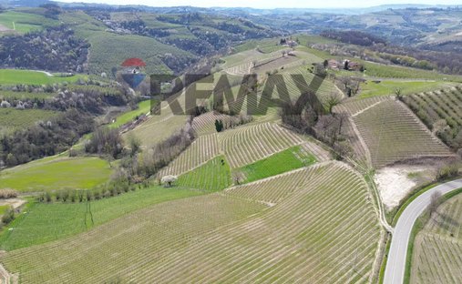 Land in Alba, Piemont, Italien 1