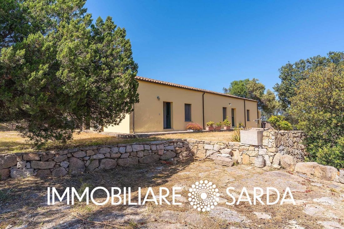 Villa in Arzachena, Sardinia, Italy 4 - 17779977
