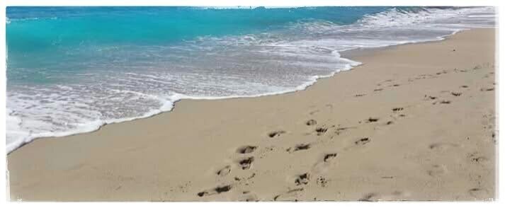 Land in Karpathos, Aegean, Greece 3 - 14150948