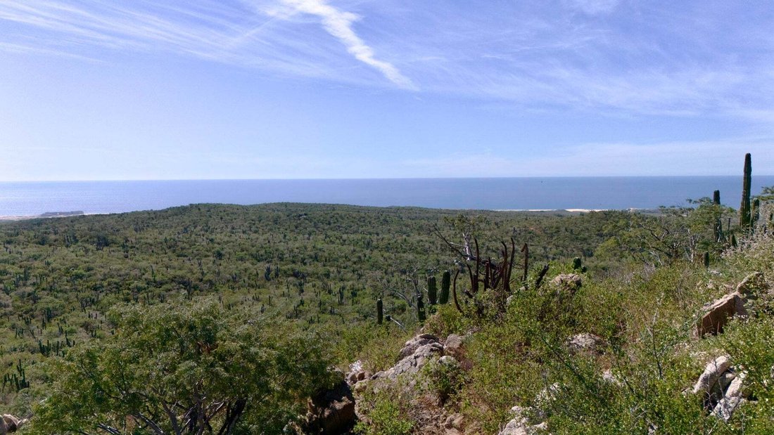 Land in Colonia del Sol, Baja California Sur, Mexico 1 - 17783504