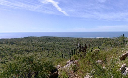 Land in Cabo San Lucas, Baja California Sur, Mexico 1
